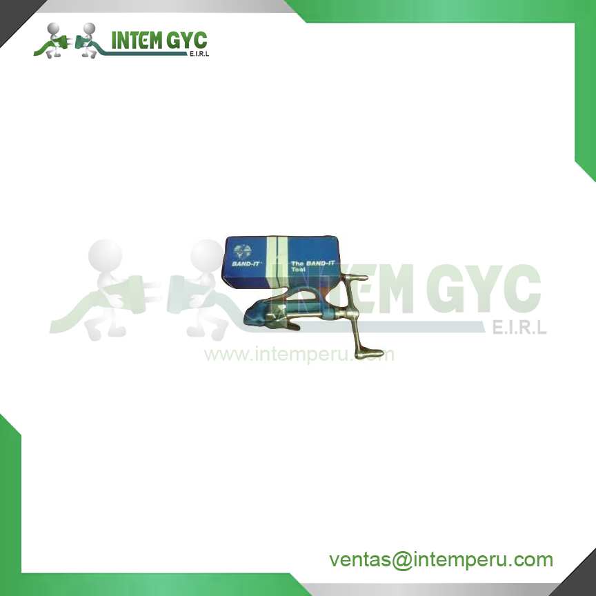 ENZUNCHADORA  BAND - IT